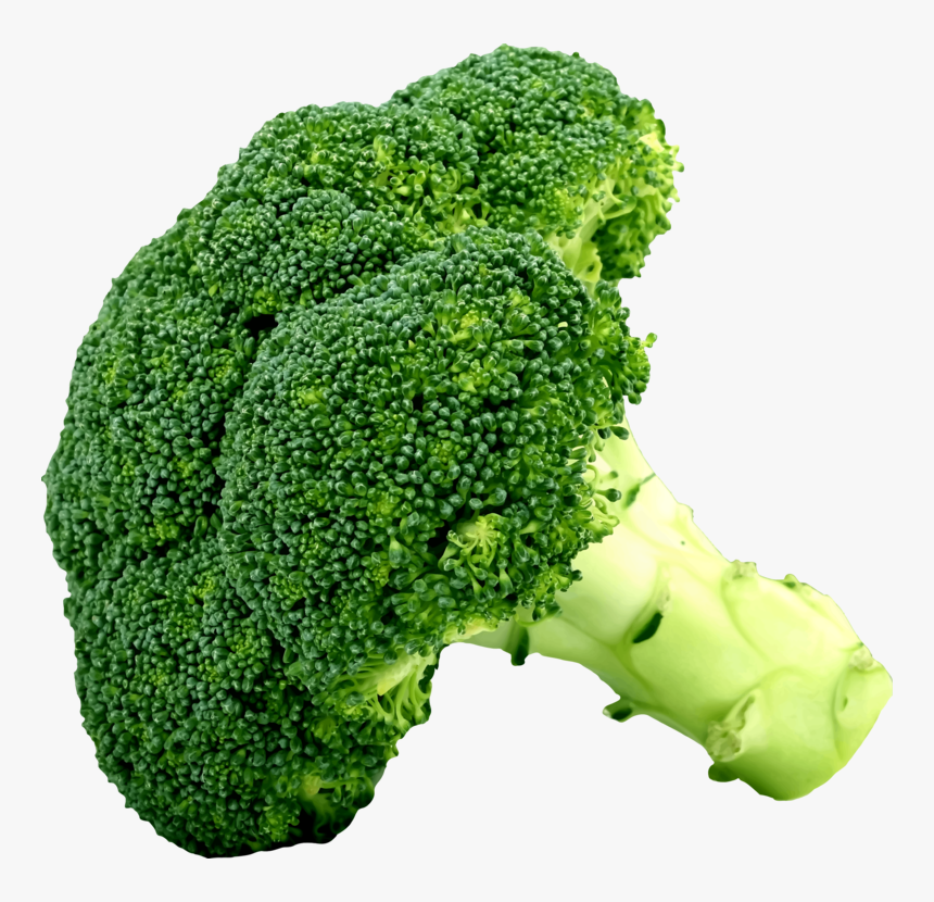Food,superfood,vegetable - Clipart Picture Of Broccoli, HD Png Download