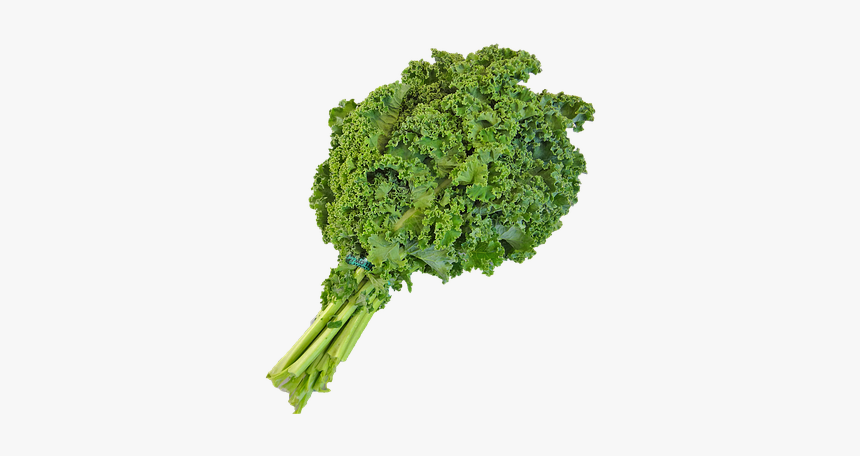 This Alt Value Should Not Be Empty If You Assign Primary - Kale Transparent Background, HD Png Download