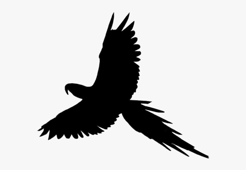 Macaw Feathers Png Transparent Images - Green Parrot Flying Png, Png Download