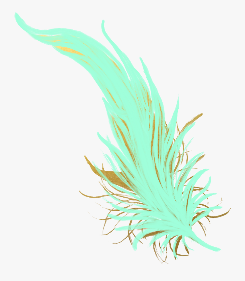 Feathers Feather Pastel Golden Gold Teal Mintgreen - Macro Photography, HD Png Download