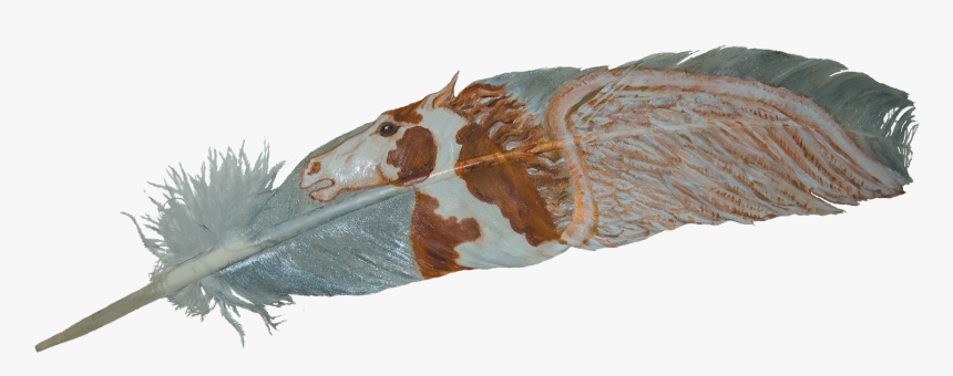 Portable Network Graphics, HD Png Download