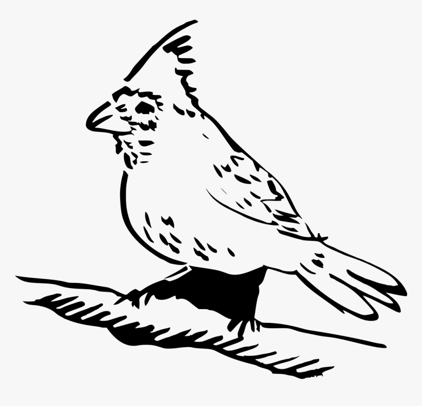 Download Png - Feather - Perched Clipart, Transparent Png