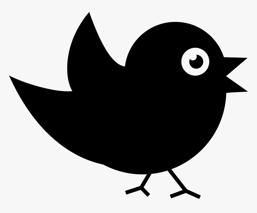 Bird Of Black Feathers - Bird Side View Black, HD Png Download