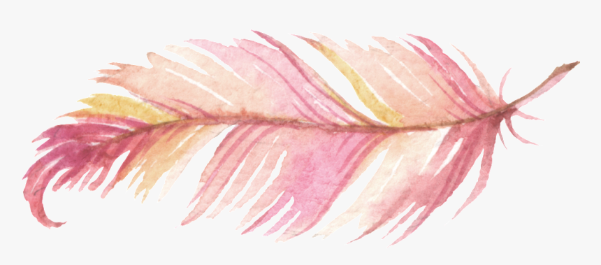 Transparent Feathers Pink - Watercolor Painting Feather Png, Png Download