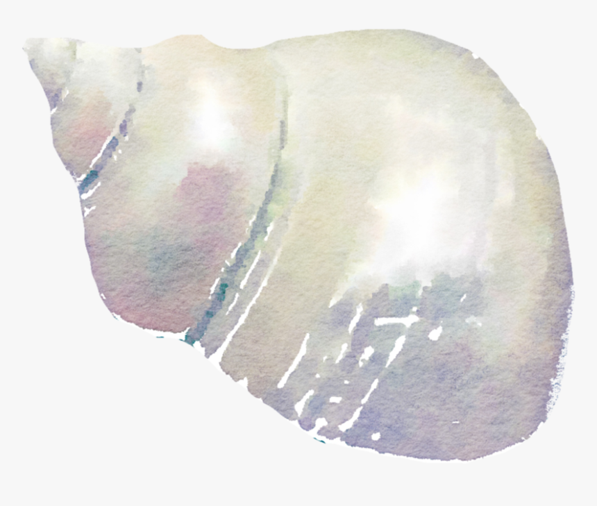 Seashell Png High-quality Image - Watercolor Seashells Png, Transparent ...