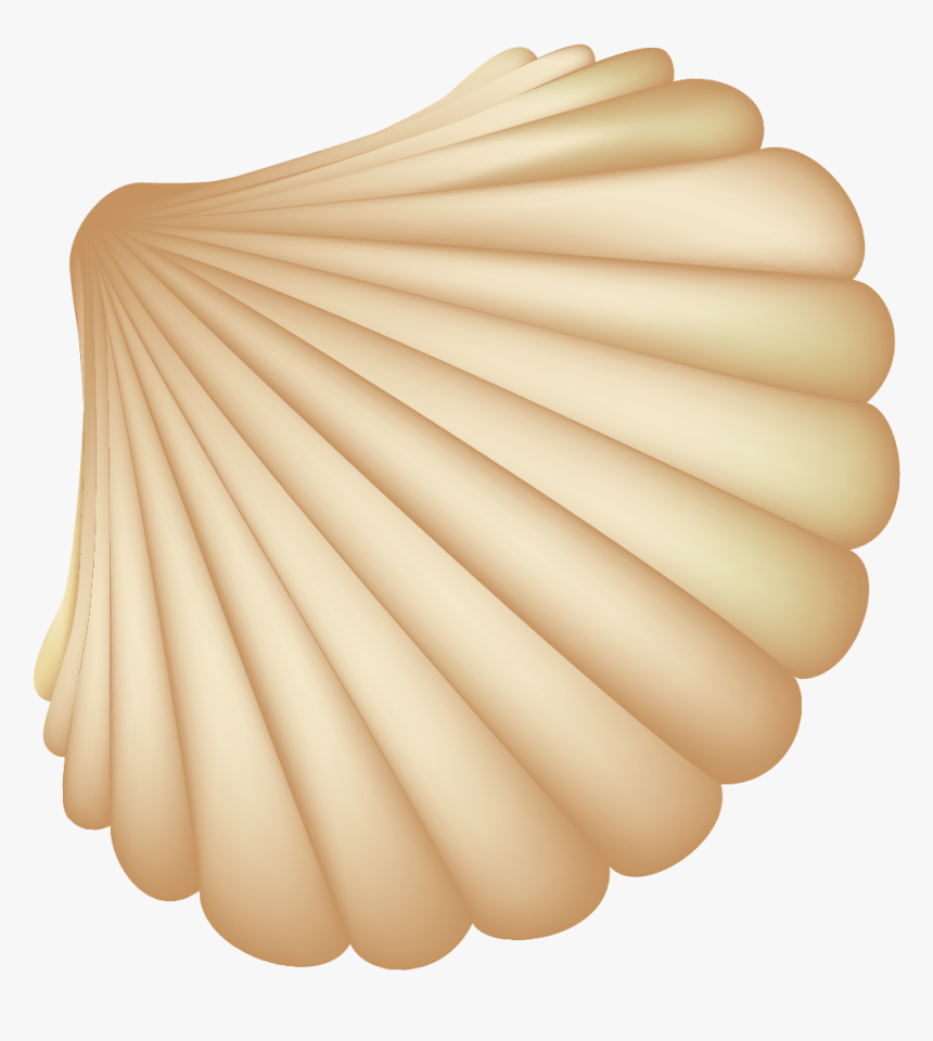 Seashell Computer File - Shell Vector Png, Transparent Png