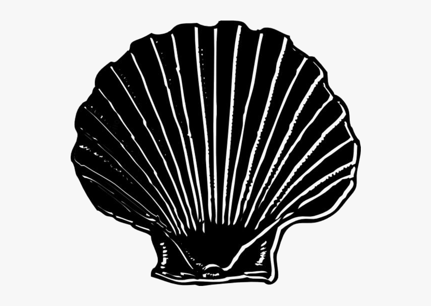 Seashell Png Clipart Image For Download, Transparent Png