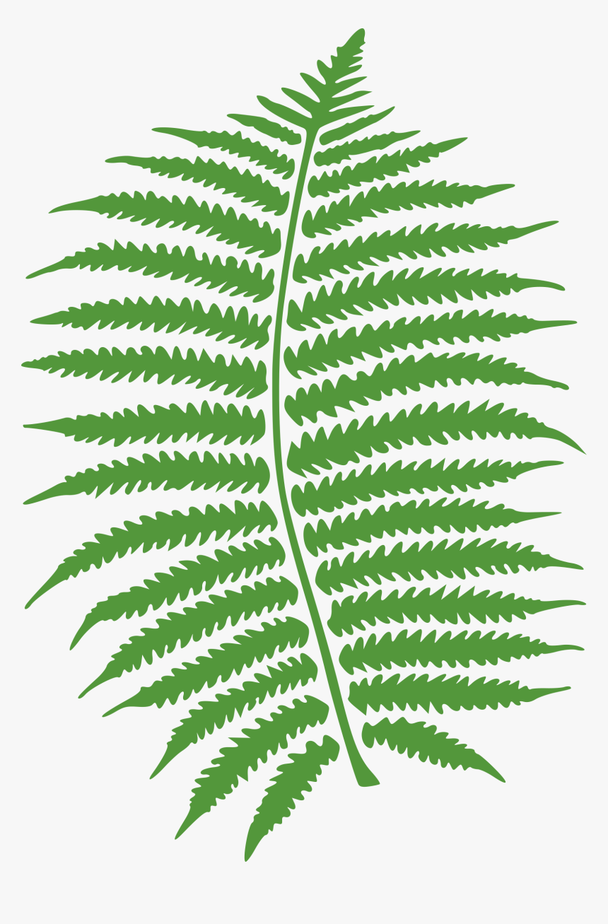 Clip Art Red Fern, HD Png Download