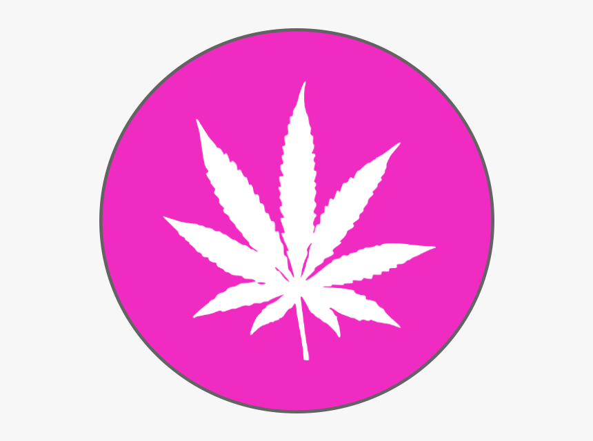 The Deadline For Applications Is June 30, 2018 For - Green Black Background Weed Leaf, HD Png Download