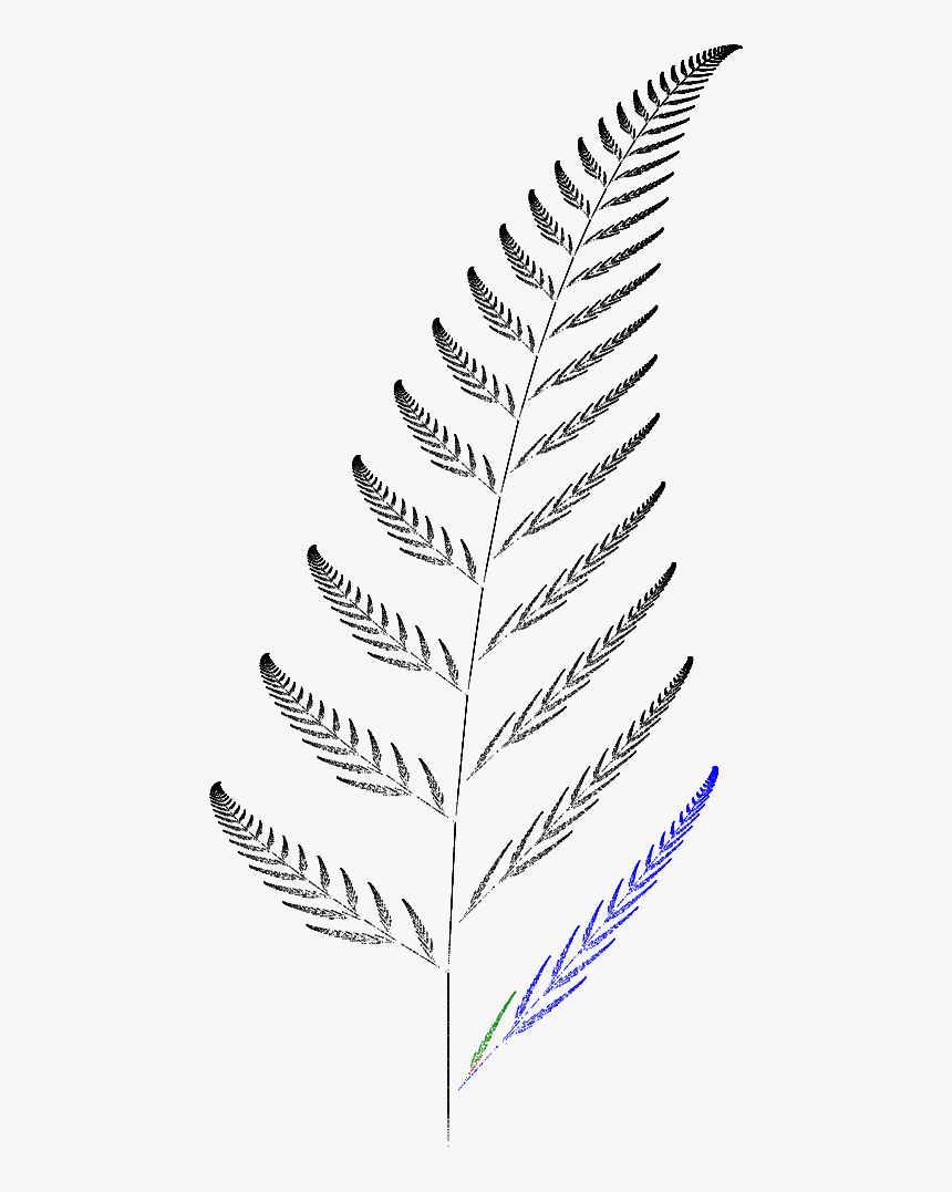 Barnsley Fern Funktion4 - Barnsley Kapradi, HD Png Download