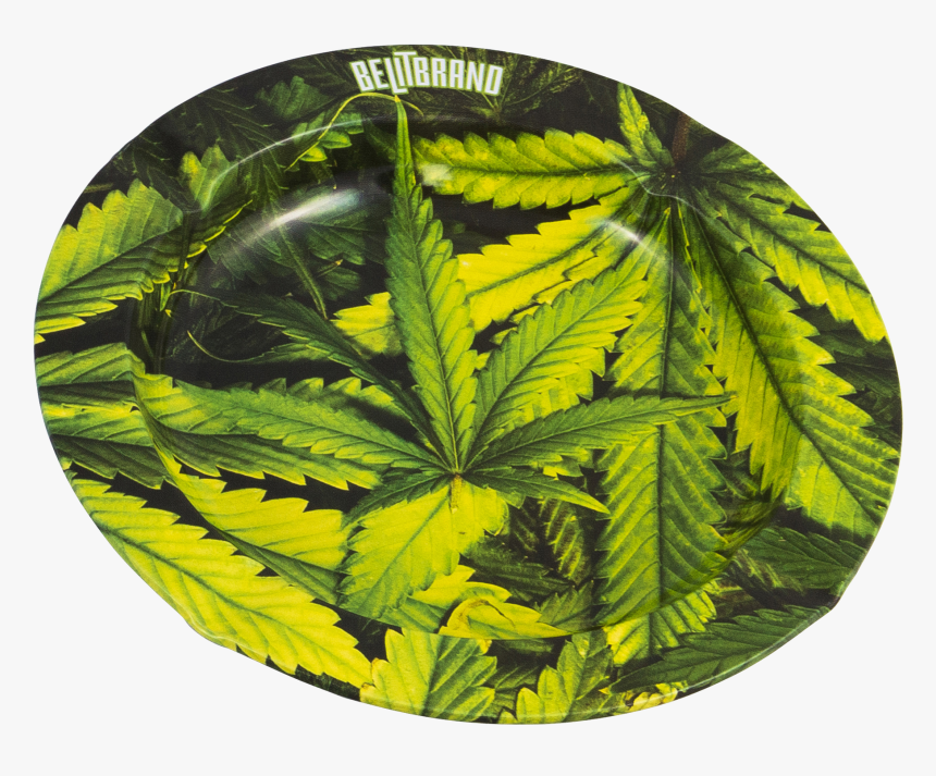 Be Lit Ashtray, Leafy - Fern, HD Png Download