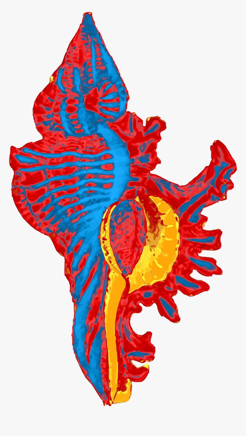 Seashell Remix Clip Arts - Seashell, HD Png Download