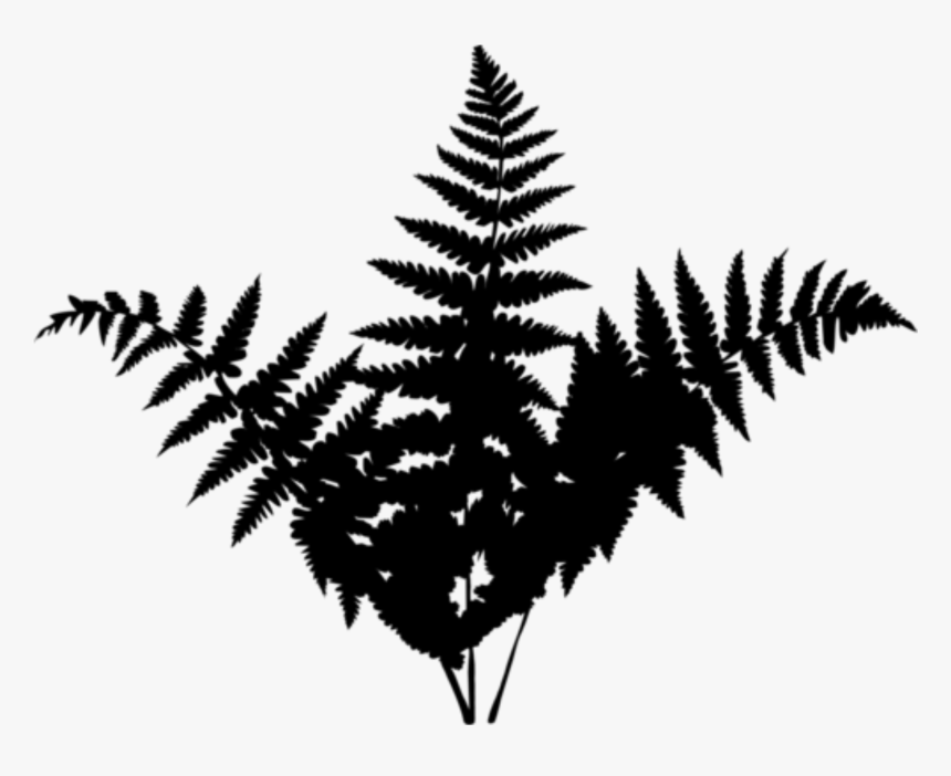 Black & White - Forest Leaf Png Silhouette, Transparent Png