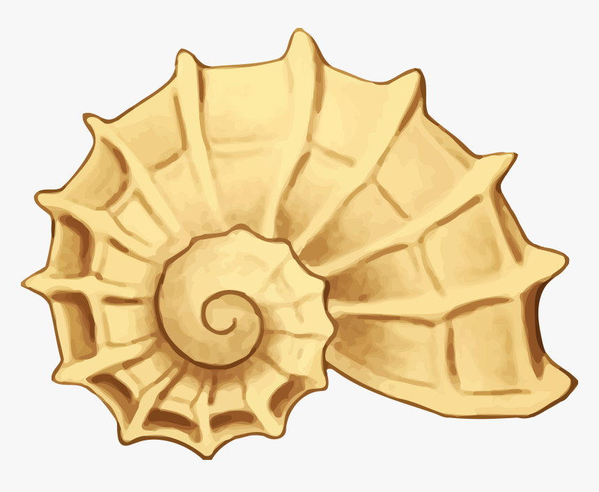 Sea Shell Big Image - Clip Art Sea Shell Png, Transparent Png