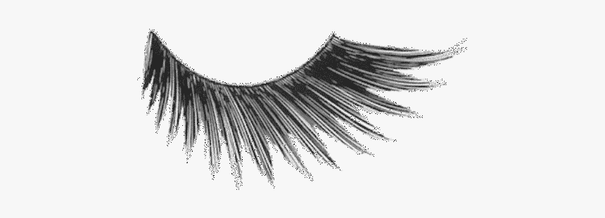 Eyelash Extensions Cosmetics Mascara Kryolan - Transparent Images Eyelashes, HD Png Download