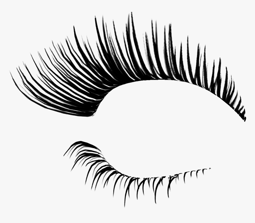 Eyelashes Transparent Background, HD Png Download
