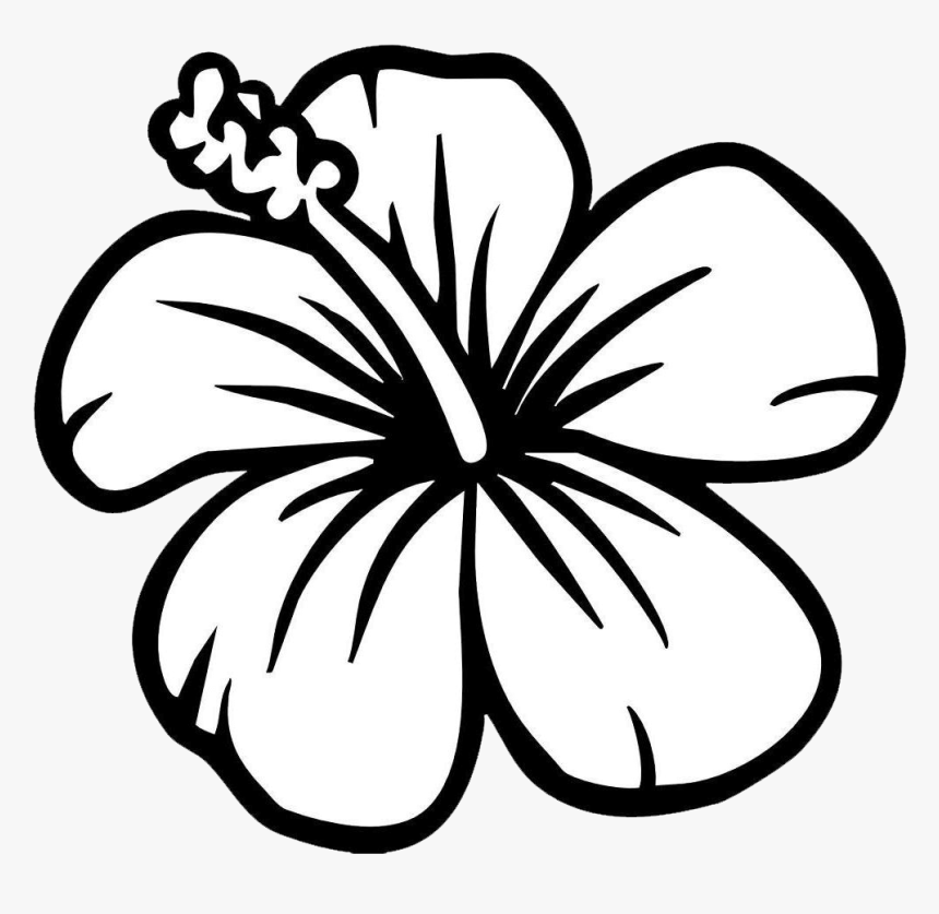 Flower Black And White, HD Png Download