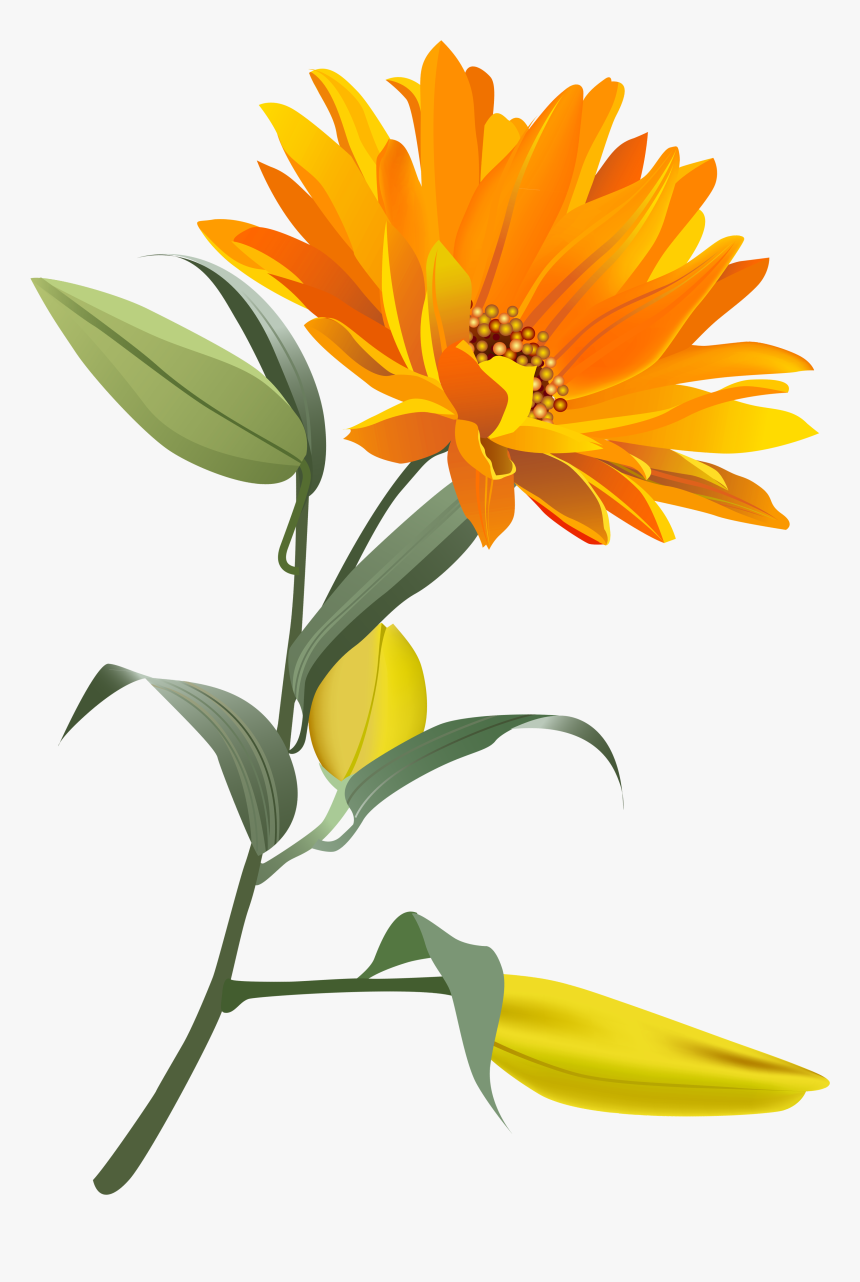 Orange Flower Png Clip Art Imageu200b Gallery Yopriceville - Transparent Background Orange Flower Png, Png Download