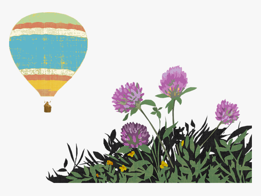 Hot Air Balloon, HD Png Download