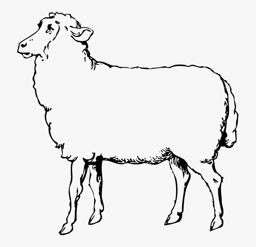 Sheep Svg Clip Arts - Sheep Images Black And White, HD Png Download