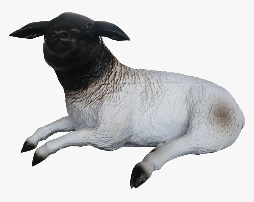 Sheep , Png Download - Dog, Transparent Png