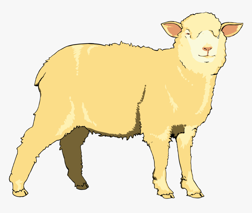 Clip Art, HD Png Download