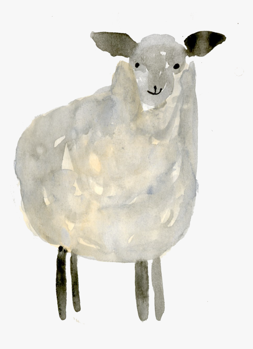 My Process Included Sketching The Illustration Out - Sheep, HD Png Download