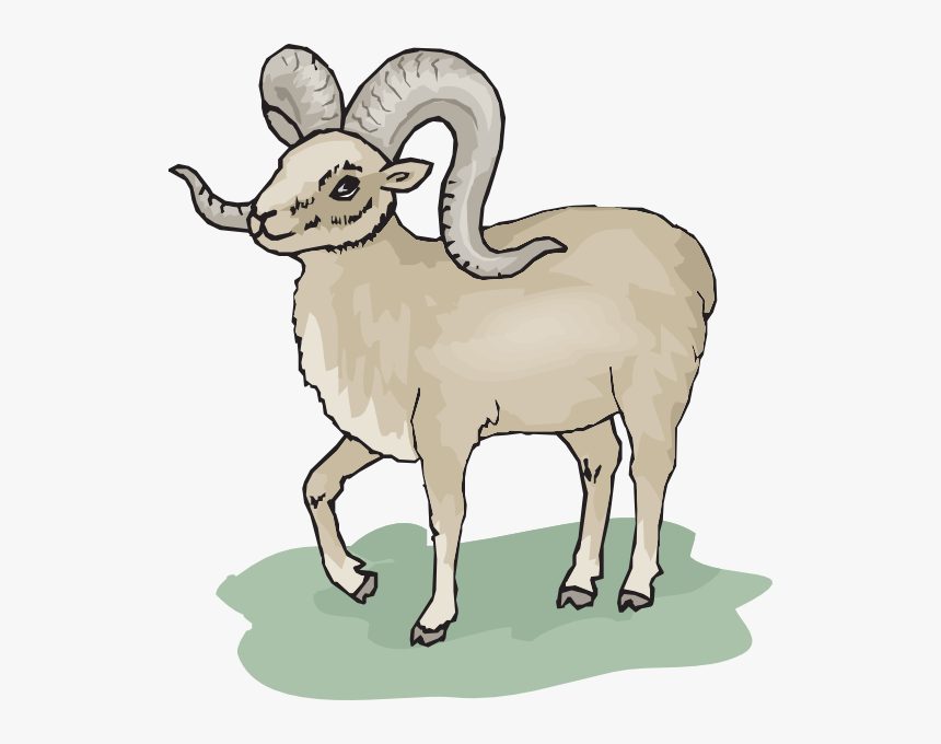 Gray Bighorn Sheep Svg Clip Arts - Bighorn Sheep Ram Clip Art, HD Png Download
