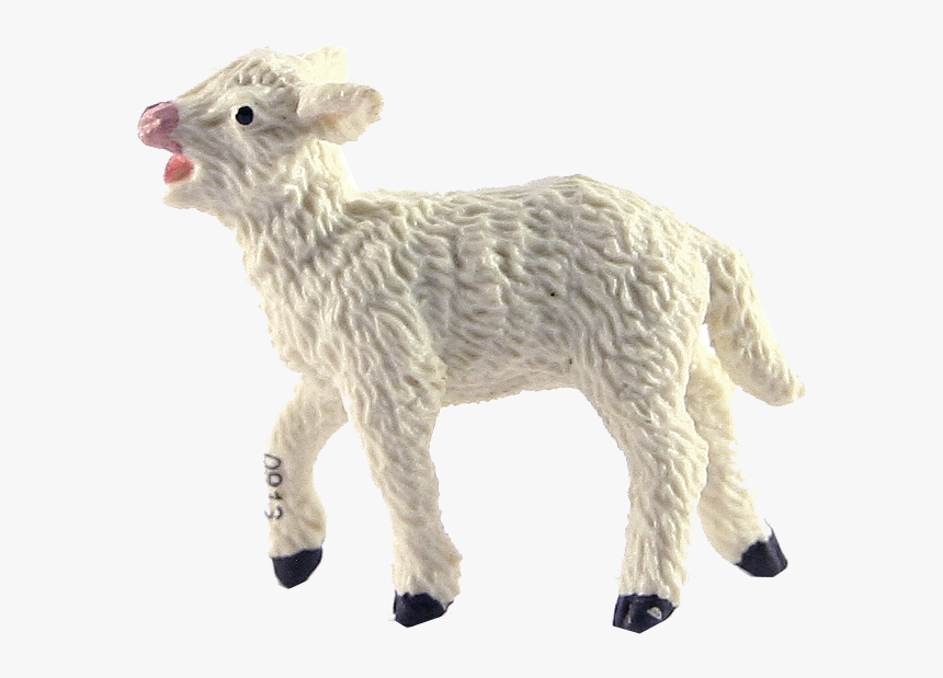 Lamb - Lambs Png, Transparent Png