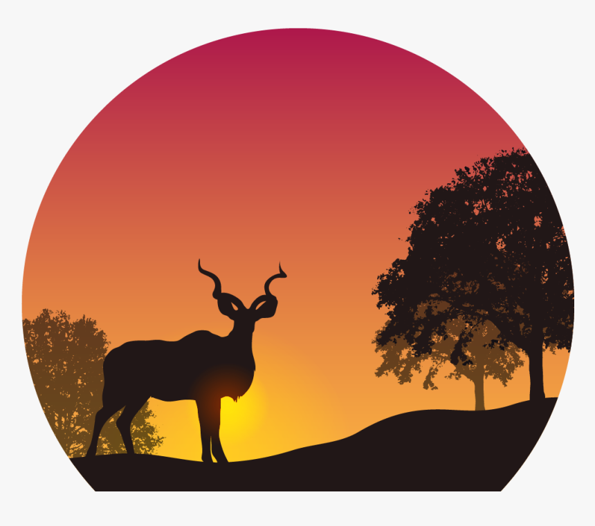 Sunset In The Wild Png Image - Kudu Silhouette Sunset, Transparent Png