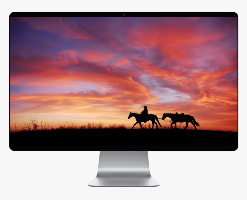 Horses In The Sunset , Png Download - Horses In The Sunset, Transparent Png