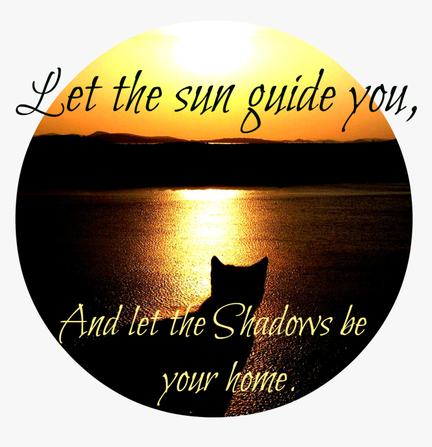 Cat Silhouette River Sun Sunset Stuff High Contrast - Poster, HD Png Download