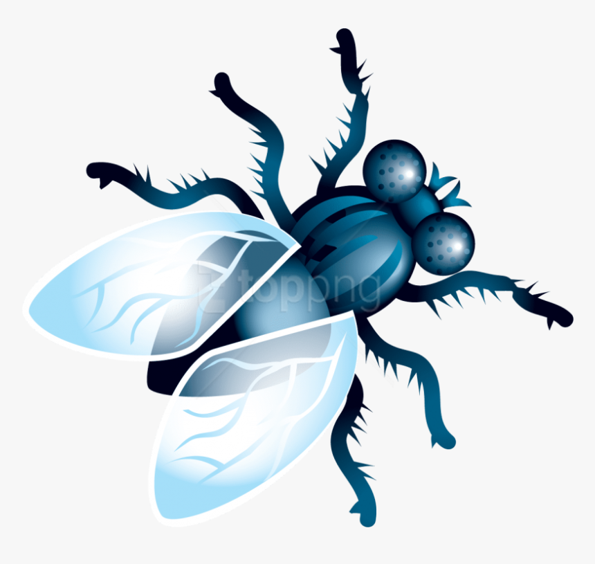 Fly Clipart Png, Transparent Png