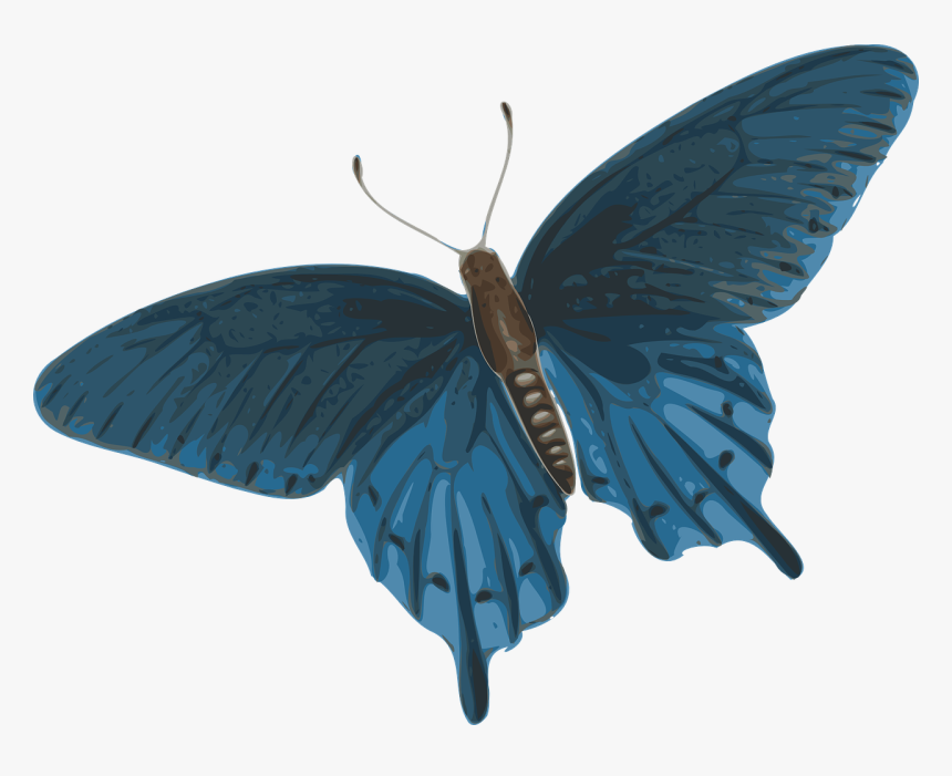 Dark Blue Butterfly Png, Transparent Png