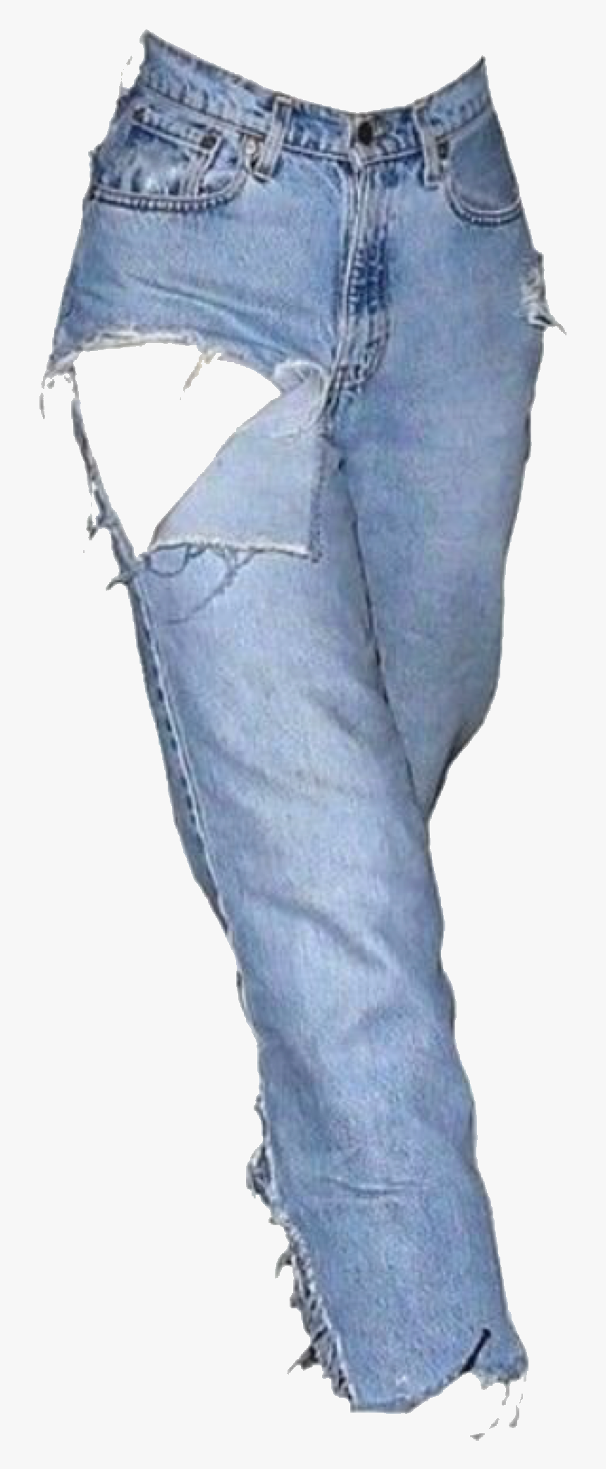 Transparent Niche Meme Pngs, Png Download