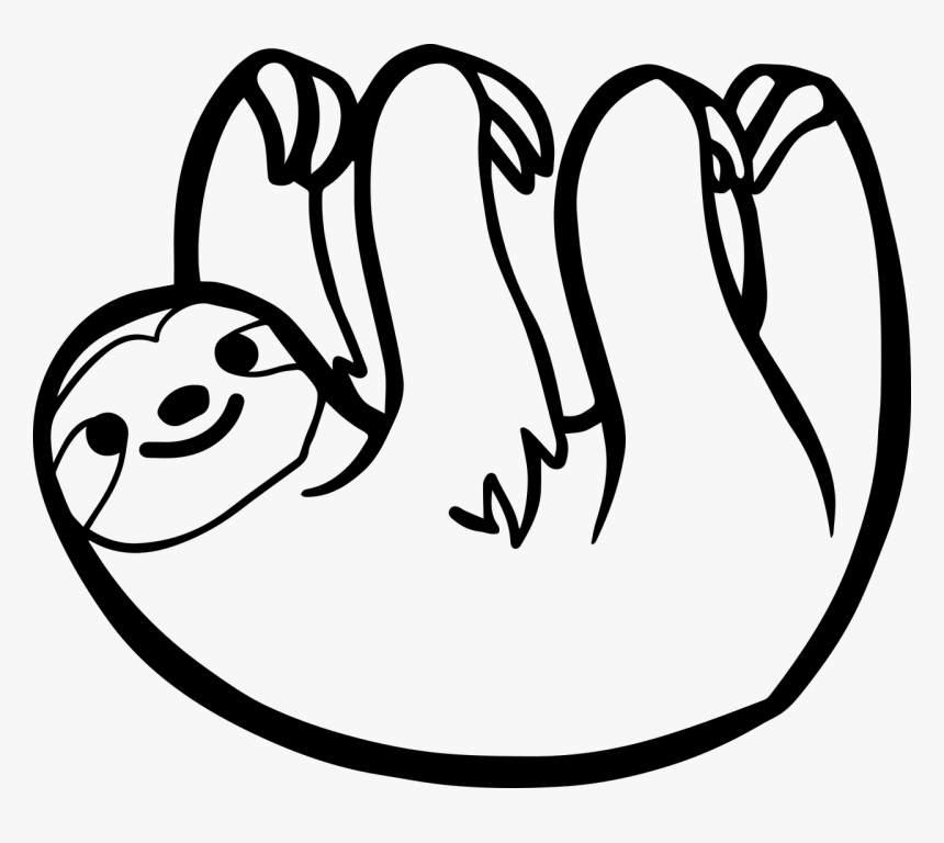 Sloth, Cute, Hanging, Wildlife, Forest, Jungle, Mammal - Sloth Black And White, HD Png Download