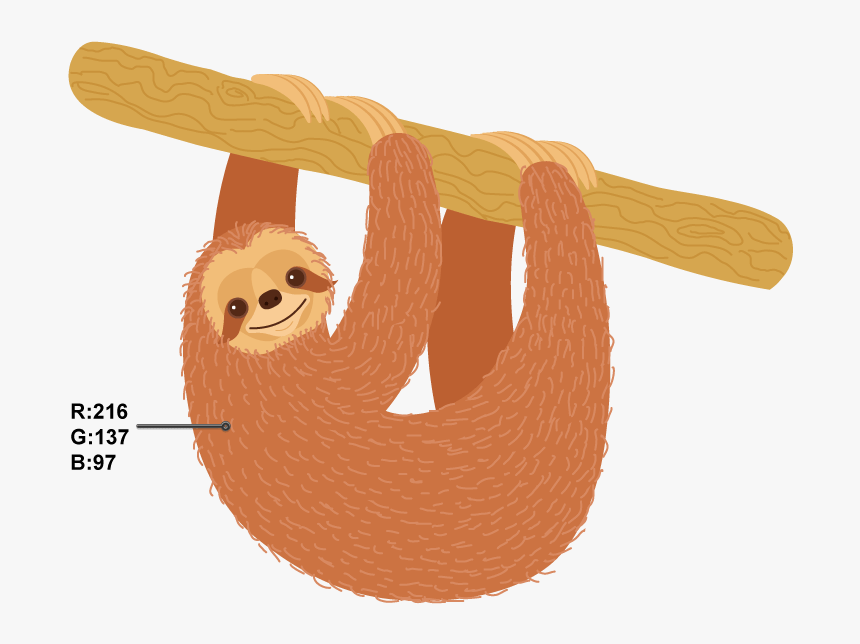 Sloth Illustrator, HD Png Download