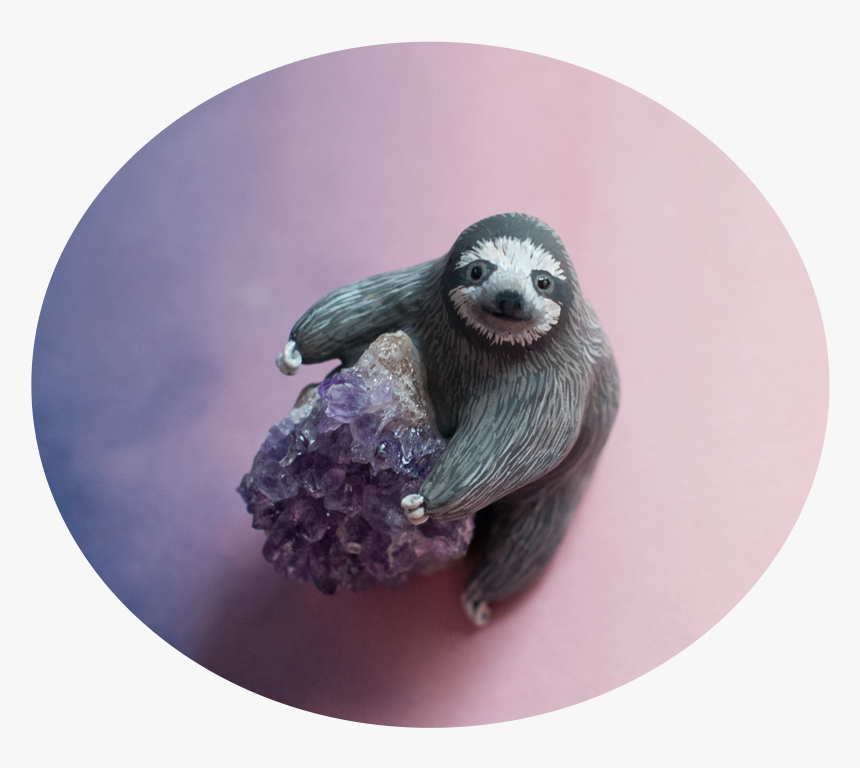Three-toed Sloth, HD Png Download