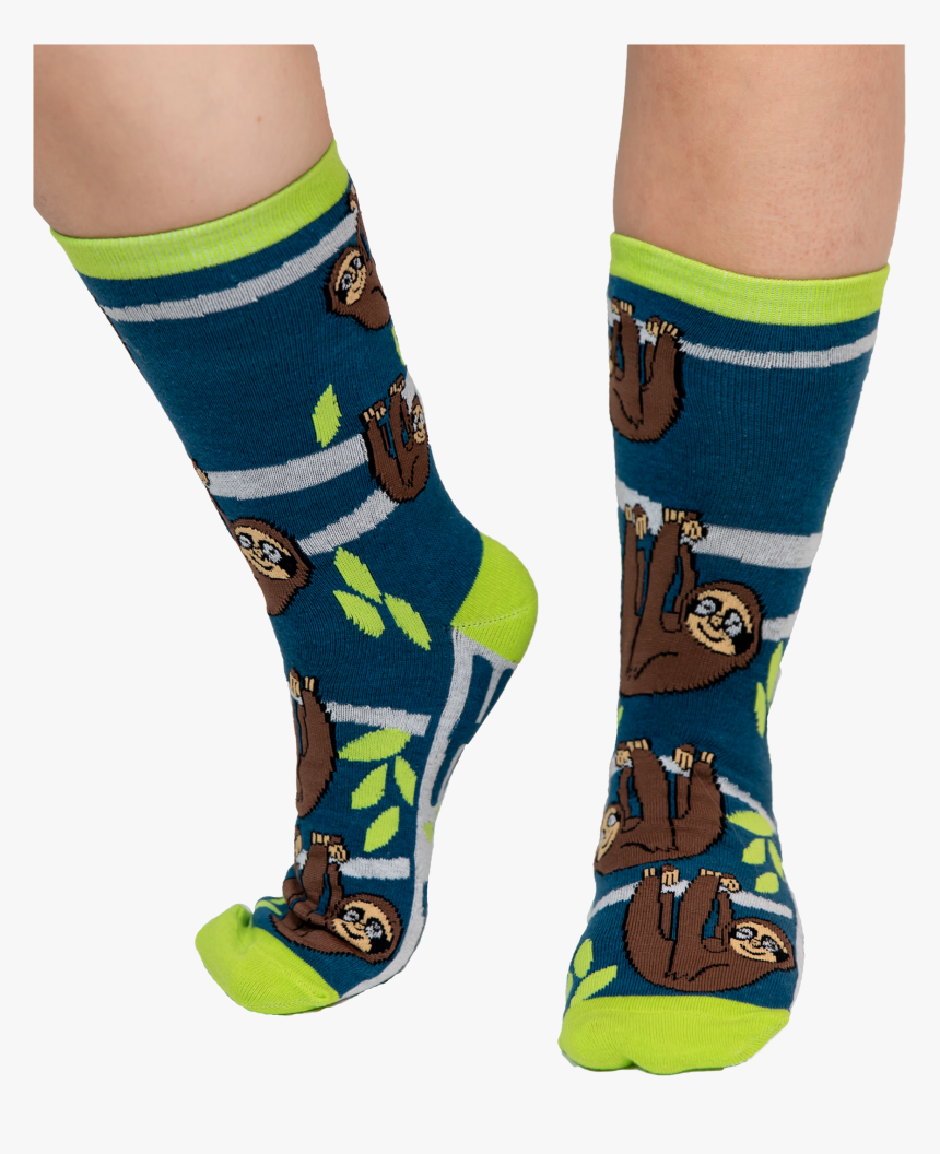 Sloth Png, Transparent Png
