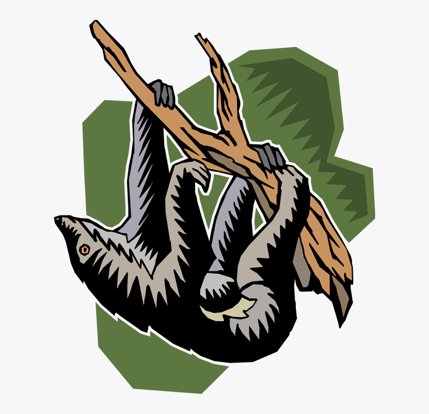 Sloth, HD Png Download