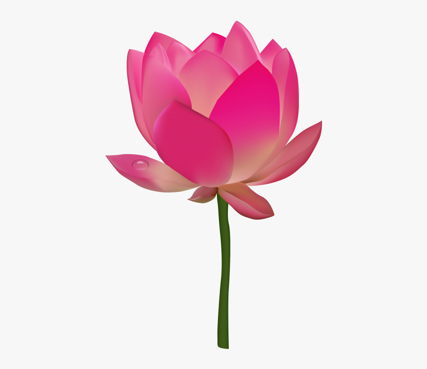 Lotus Png Images Download - Transparent Flower Clip Art, Png Download