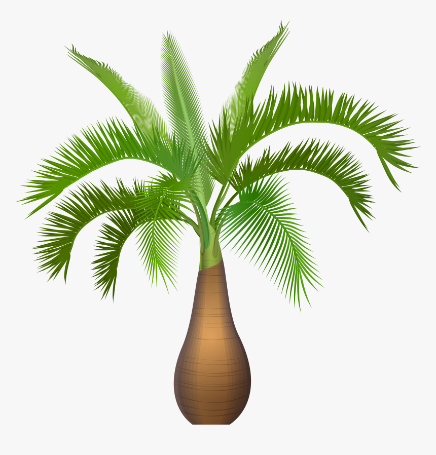 Palm Tree Plant Png Clip Art Image - Palm Tree Plant Clipart, Transparent Png
