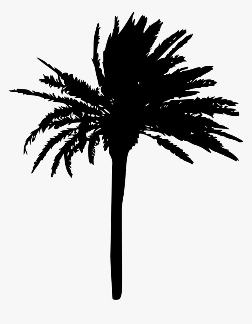 Palm Trees Silhouette Transparent, HD Png Download
