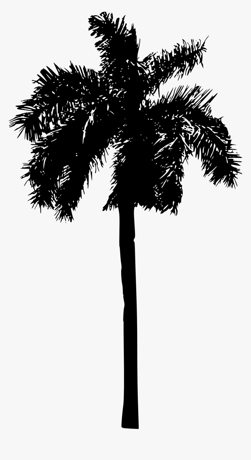 Palm Tree - Palm Tree Silhouette Png Transparent, Png Download