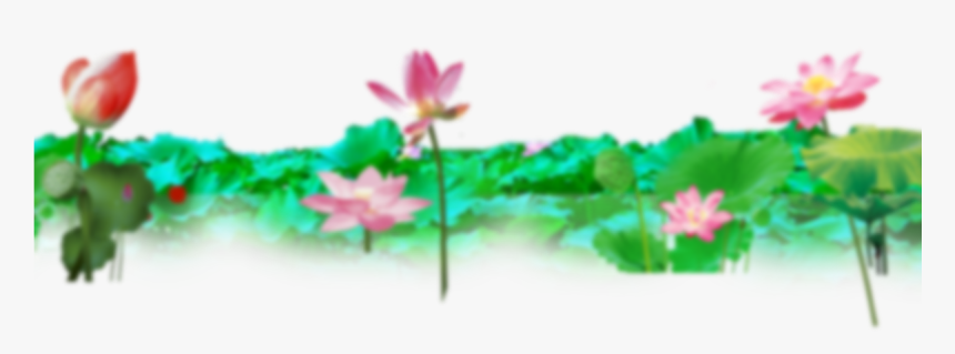 Wallpaper Banner Design - Sacred Lotus, HD Png Download