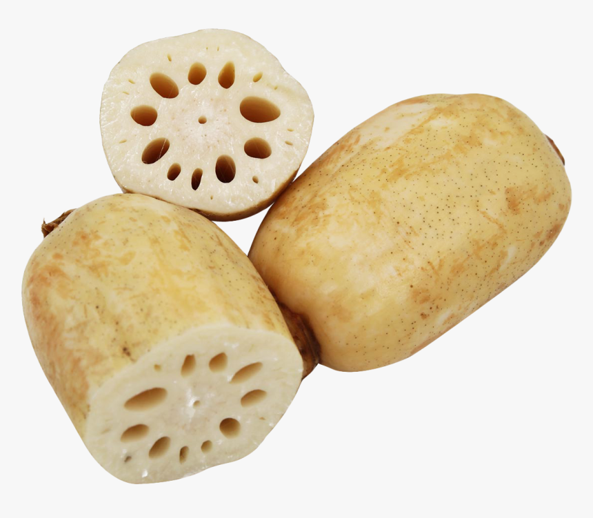Lotus Root Png Image - Lotus Root Png, Transparent Png