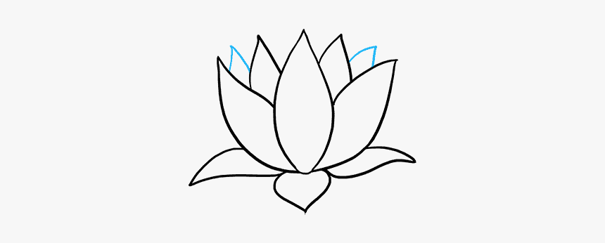 How To Draw A Lotus Flower - Sacred Lotus, HD Png Download