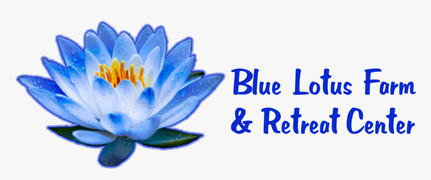 Lotus Blue Flower Png, Transparent Png