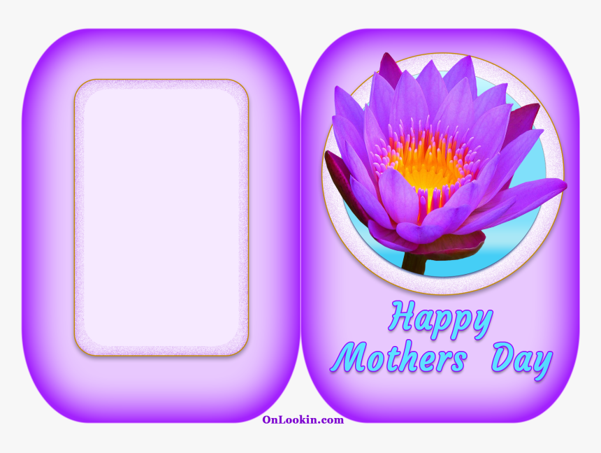 Happy Mothers Day Violet Lily - Water Lily, HD Png Download