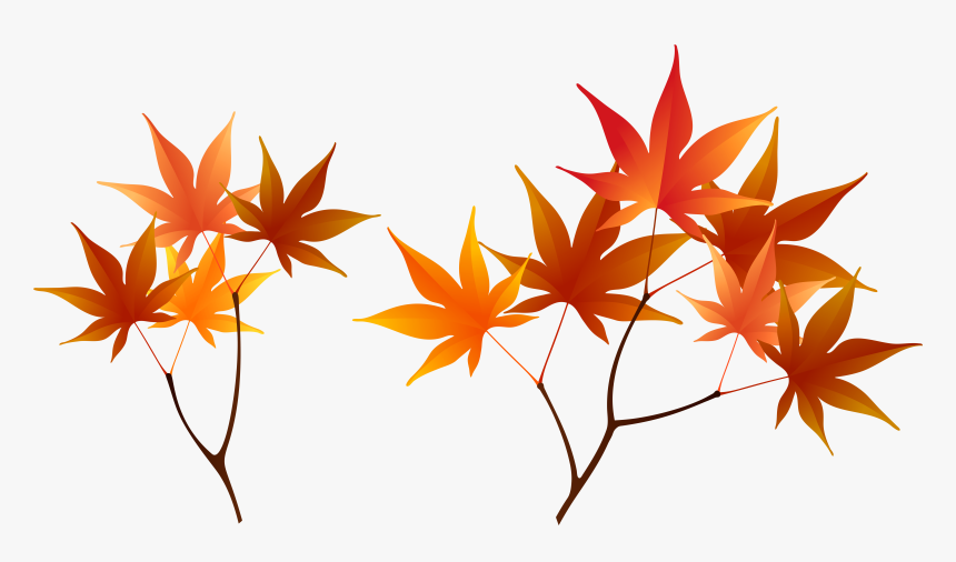 Fall Tree Branch Png - Clipart Autumn Leaves Branch, Transparent Png